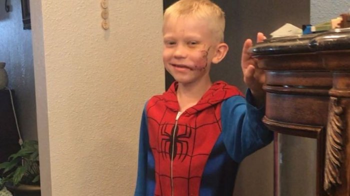 Niño de 6 años se convirtió en el héroe de su hermana al salvarla de ataque de un perro