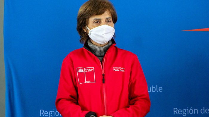 El Minsal analiza la opción de realizar el plebiscito de octubre en doble jornada