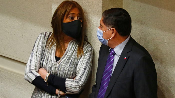 Van Rysselberghe dice que cuenta con las firmas para llevar proyecto del 10% al Tribunal Constitucional