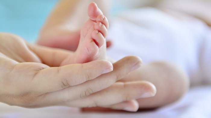 Promulgan la Ley de Crianza Protegida: Medida beneficiará a 850 mil padres y madres