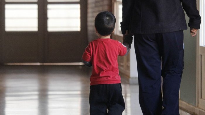 Jueces de Familia decretarán las medidas cautelares al 10% retirado de AFP para el pago de pensión alimenticia