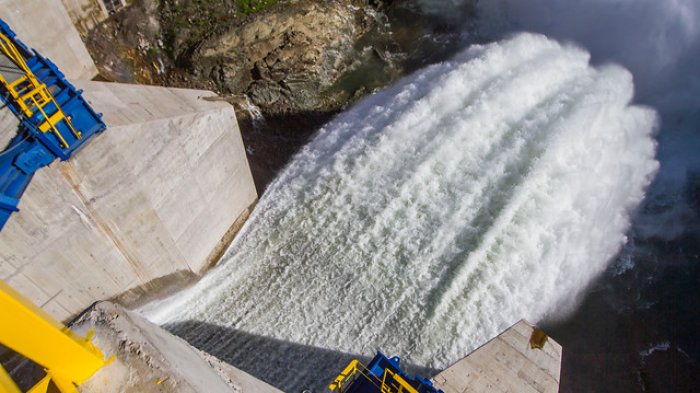 Carbono neutral, energías limpias y reforestación: Los anuncios de Piñera en materia de medio ambiente