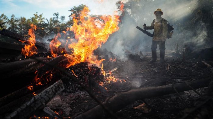 Los focos de incendio en la Amazonía brasileña aumentaron un 28% en julio