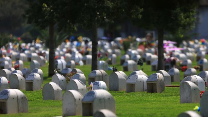 Cementerio exhumó cuerpo sin avisar y ahora deberá pagar una millonaria multa a la familia