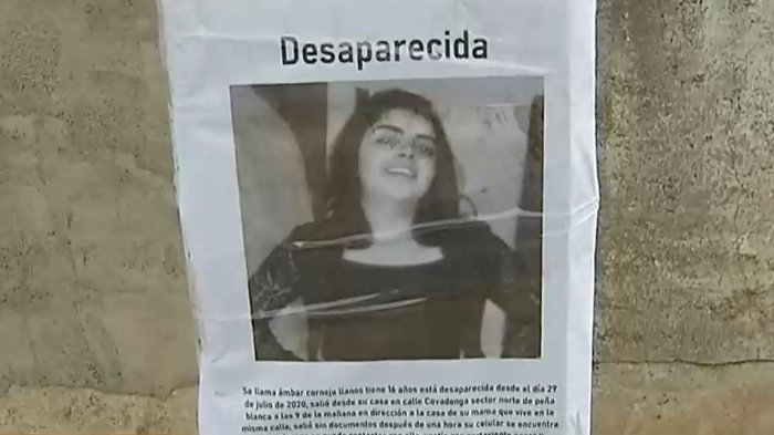 Caso Ámbar: Defensora de la Niñez presentó querella por sustracción de menores