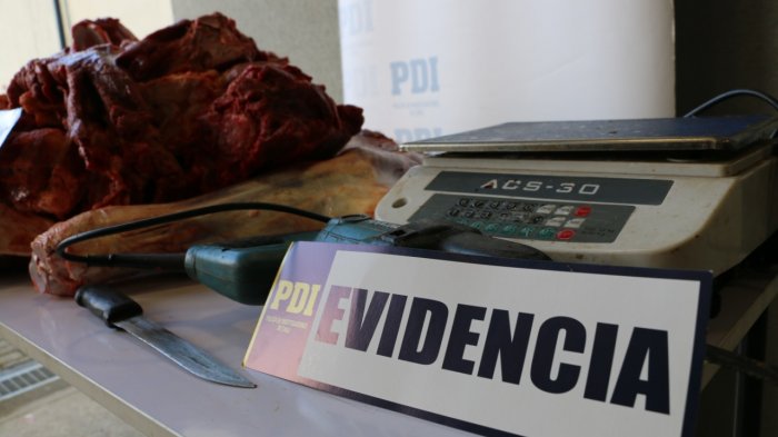 Venta irregular de carne y sin controles sanitarios: Detienen a tres personas por matadero clandestino en Valdivia