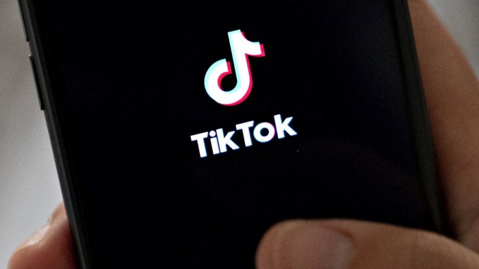 Tiktollazo: Influencers realizarán evento online en ayuda de las ollas comunes de Antofagasta