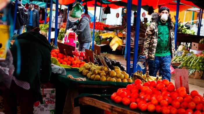 En ferias libres: Las frutas y verduras están en promedio un 32,6% más baratas que en supermercados