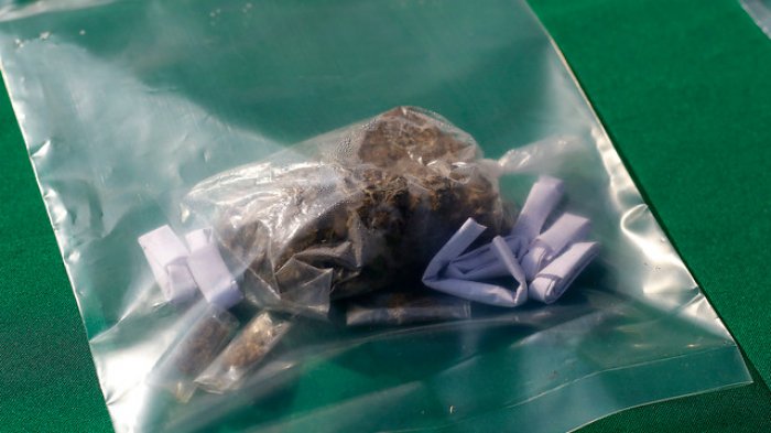 Incautan más de 7 kilos de marihuana y 329 plantas de cannabis sativa en La Araucanía