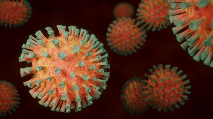 Malasia dice que cepa de coronavirus detectada en el Sudeste Asiático es 10 veces más infecciosa