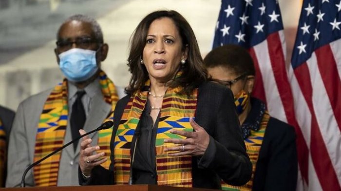 Ya es oficial: Kamala Harris es candidata a la vicepresidencia de EE.UU.