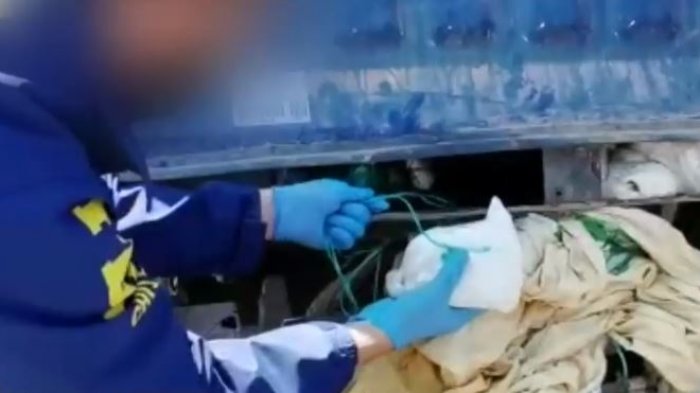 Concejal de Tarapacá evadía controles para transportar droga en su vehículo