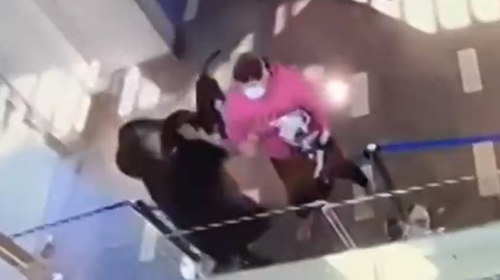 “Esto se salió de las manos”: Vecinos de condominio dicen que arrendatarios morosos siguen con la violencia