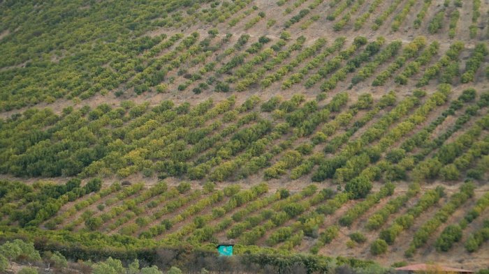 ONU pide que gobierno de Chile no priorice proyectos económicos por sobre el derecho al agua y la salud