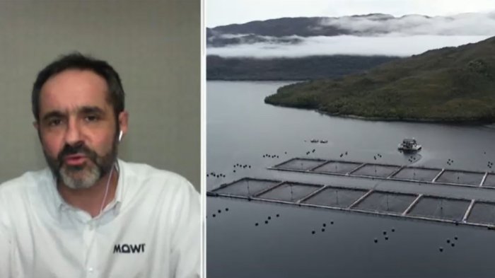 Gerente de Medio Ambiente de salmonera Mowi: 