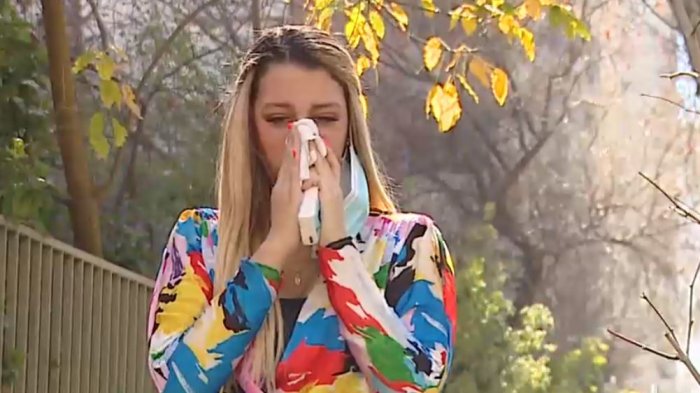 Expertos señalan que las mascarillas aliviarán las alergias durante la primavera