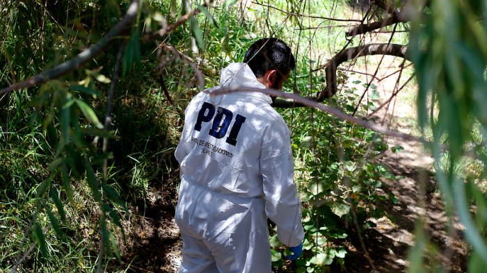 Investigan hallazgo de cuerpo decapitado en camión abandonado en La Pintana