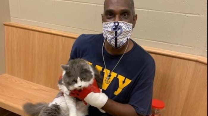 La increíble sorpresa que se llevó un hombre que fue a adoptar un animal a un refugio: Estaba su gato perdido