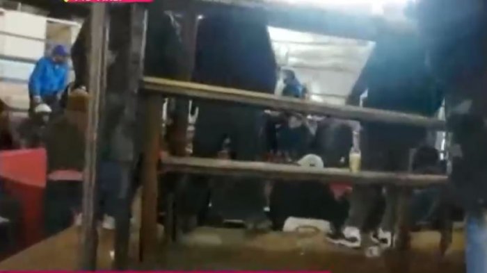 Descubren pelea de gallos clandestina en Lampa: Hubo 20 detenidos