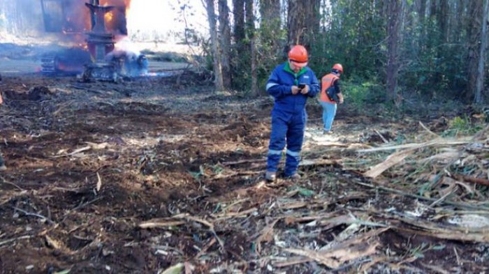 6 máquinas forestales y 3 camionetas fueron quemadas en ataque en Mulchén