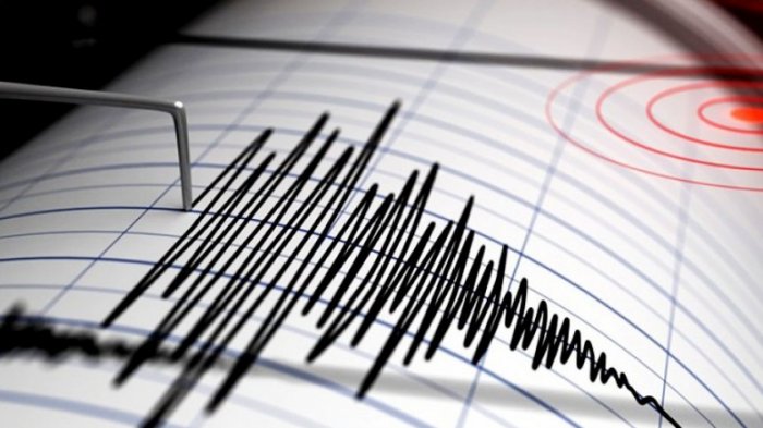 Se registró nuevo sismo en Coquimbo y Atacama: Usuarios dicen que se sintió hasta en la RM