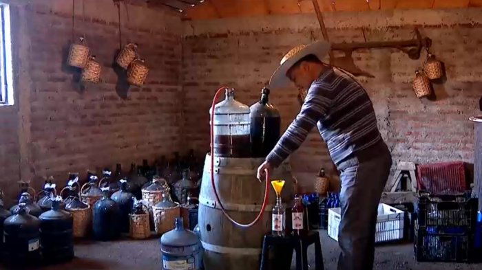 Fiestas Patrias: Chicheros de Curacaví se las ingenian para vender estas en medio de la pandemia