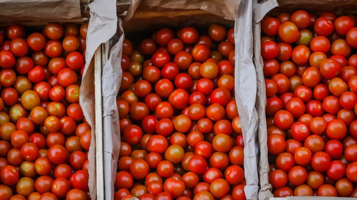 IPC anotó variación de 0,1% en agosto: Suben los arriendos, la carne de pollo, los tomates y la cerveza