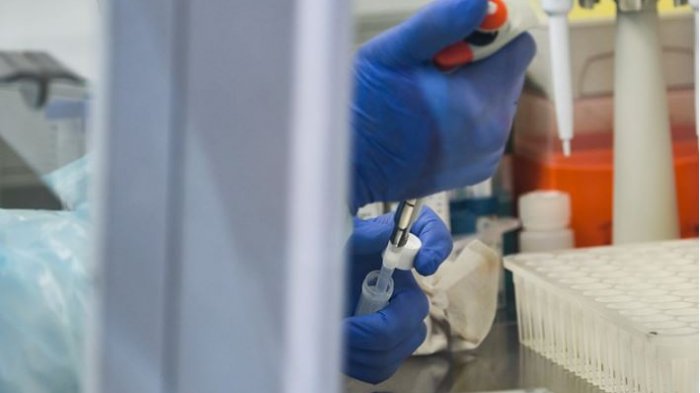 OMS: Vacuna contra el coronavirus no estará disponible masivamente antes del 2022