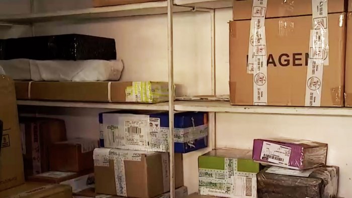 Tarde, pero llegó: La angustia de estudiante que casi pierde su beca por una encomienda