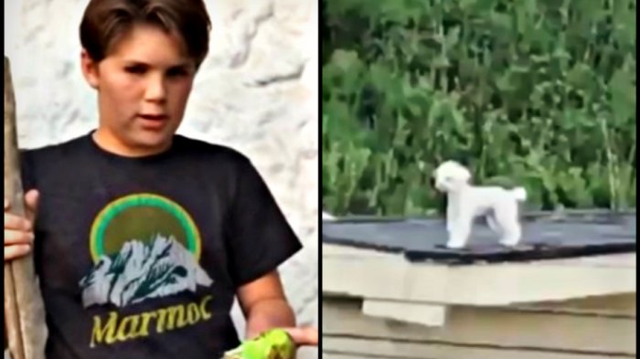 De “vecina, baje al firulais” al Chimuelo: Tuitero armó la recopilación definitiva de los virales chilenos