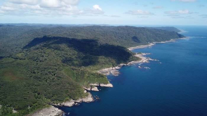 Isla Guafo es puesta en venta por US$ 20 millones: Activistas piden que sea declarada área marina protegida