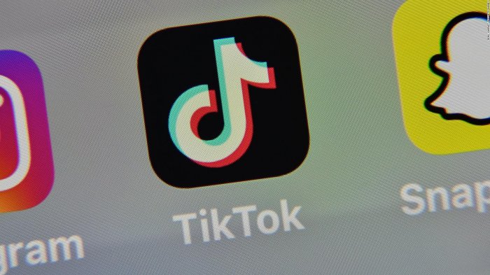 EE.UU. llegó a un acuerdo preliminar con TikTok y retrasará en una semana las medidas contra la aplicación