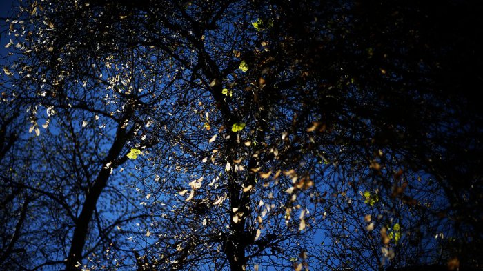 ¿Es alergia o coronavirus? Doctora explica la diferencia en los síntomas