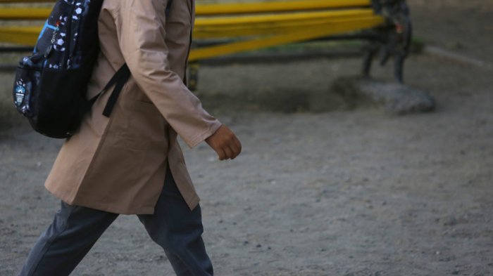 153 colegios han pedido volver a clases presenciales a nivel nacional