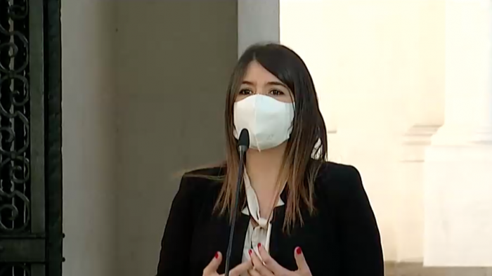 Habilitarán permiso especial para actividades de campaña por el plebiscito