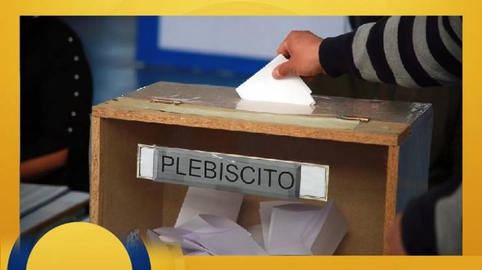 ¿Qué se vota en el plebiscito del 25 de octubre?