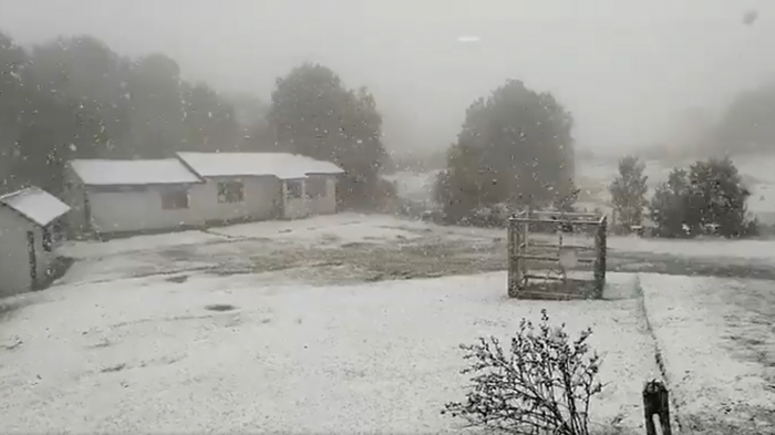 ¿Nevará en otros lugares del sur? Nieve y aguanieve tiñen de blanco a Chiloé