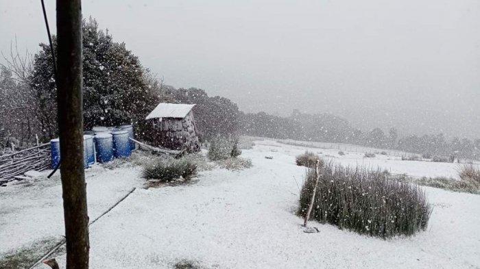 En plena primavera: Inusual nevada sorprendió a habitantes de Chiloé