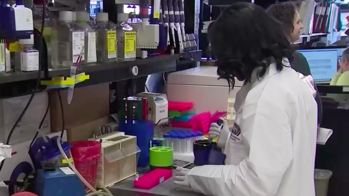 Suspenden convocatoria para Becas Chile de 2021 tras ajuste presupuestario por la pandemia