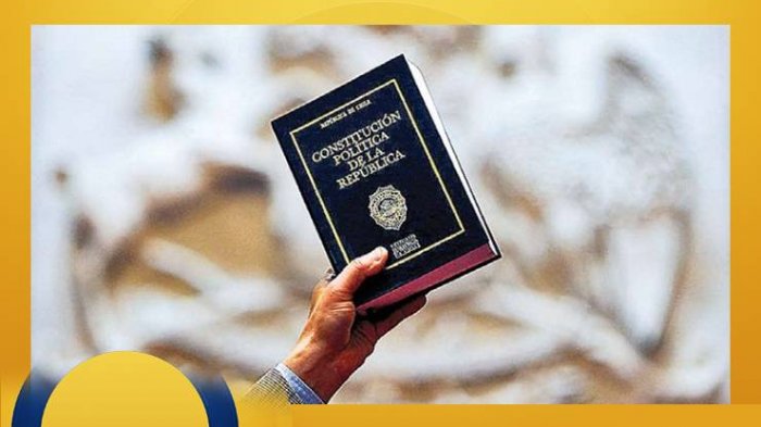 Derechos y Deberes, capítulo 1: Bases de la institucionalidad