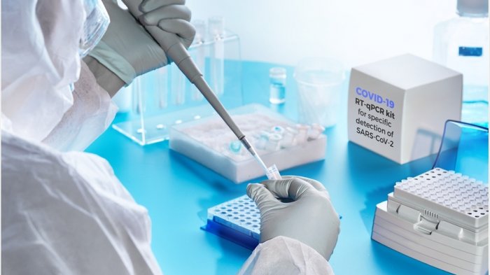 OPS ofrece colaborar en estudios tras hallazgo de mutación del COVID-19 en Magallanes