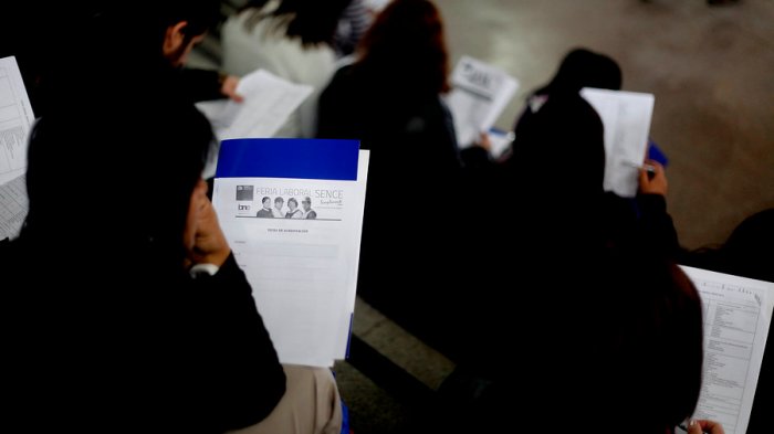 14 mil puestos de trabajo: Lanzan ferias laborales en Antofagasta, Valparaíso, O'Higgins y Los Lagos