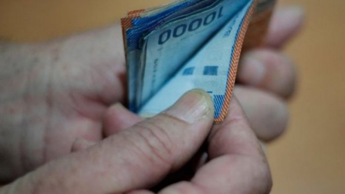 Bono Protección o Dueña de Casa: Conoce los montos que entrega este beneficio