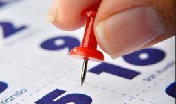 12 de octubre, otro fin de semana largo en pandemia: Revisa los feriados que le quedan al 2020