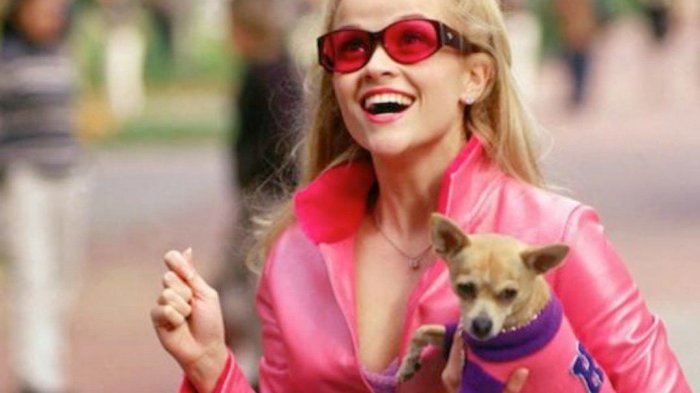Elle Woods está de regreso: Confirman fecha de estreno de 