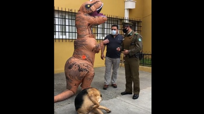No lo querían dejar votar: Hombre llegó a sufragar vestido como dinosaurio