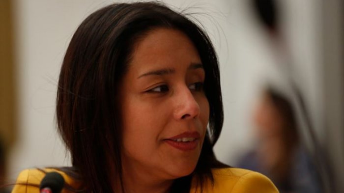 Corte de Apelaciones acogió la solicitud de desafuero en contra la diputada Leuquén