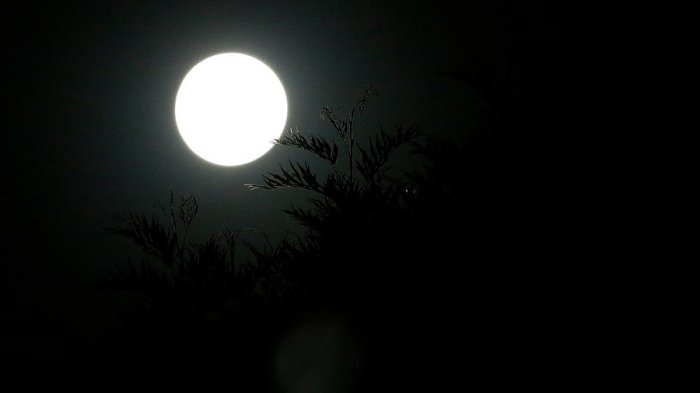 Se alineó con Halloween: Este fin de semana se podrá ver la Luna Azul