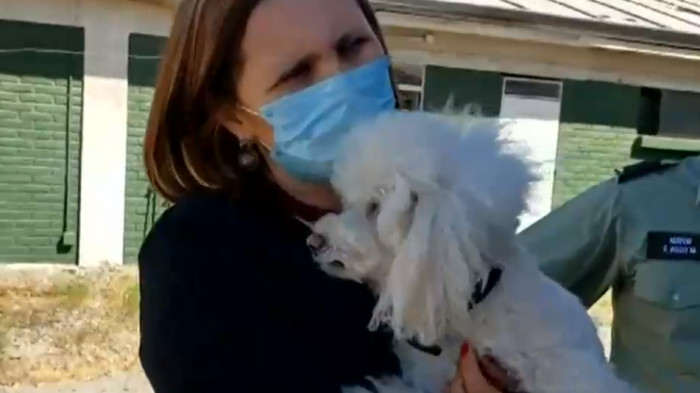 Asaltan a mujer con electroshock y roban su auto con su perro: Apenas logró sacar a su hija del vehículo