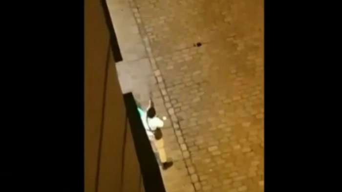 Presunto ataque terrorista en las cercanías de sinagoga en Viena dejó al menos 7 muertos